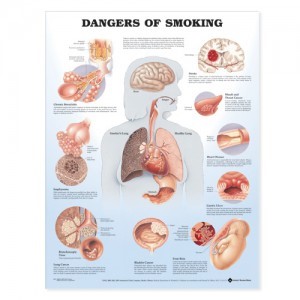 Картинка Влияние табака на организм человека